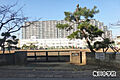 梅田中学校まで...