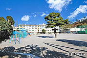 片瀬小学校まで約842m