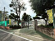 世田谷区立等々力小学校（849m）