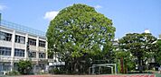 品川区立中延小学校（600m）