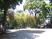 すずめのお宿緑地公園（150m）