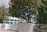 周辺：大田区立相生小学校（571m）