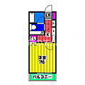 サルヴァトーレ大橋2階5.4万円