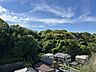 周辺：鳥のさえずりが聞こえてきます♪