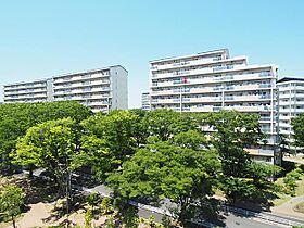 URひばりが丘パークヒルズ  ｜ 東京都東久留米市ひばりが丘団地（賃貸マンション2DK・3階・50.13㎡） その15