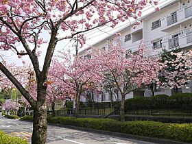 UR小山田桜台  ｜ 東京都町田市小山田桜台2丁目（賃貸マンション3LDK・5階・73.33㎡） その16