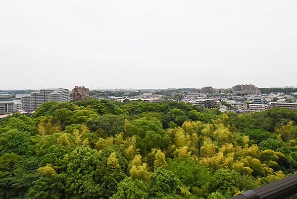 UR港北ニュータウンビュープラザセンター北 ｜神奈川県横浜市都筑区南山田1丁目(賃貸マンション2DK・11階・74.78㎡)の写真 その12