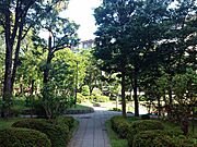 敷地内は緑が多く、自然豊かな環境です