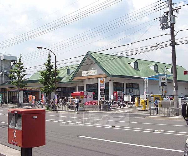 画像23:グルメシティ 嵯峨店まで374m 嵯峨嵐山駅から北へ丸太町通りを東にいった場所にあります。駐車場完備。
