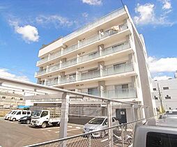 ａｂｕｎｄａｎｃｅ　ＭＹＵＪＩＮ