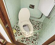 レトロなトイレです