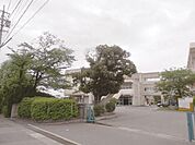 小学校「知多市立つつじが丘小学校まで408ｍ」南隣接