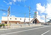 マルショク富野店