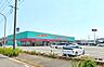 周辺：ディスカウントドラッグコスモス北湊店：290ｍ、徒歩4分！