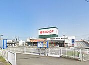エフコープ花畑店