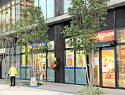マツモトキヨシベルトーレ金町店（508m）