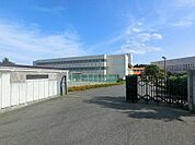 佐倉市立西志津中学校（1229m）