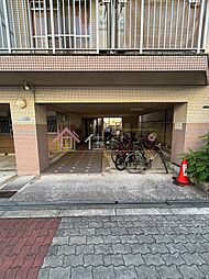 7 / 11
