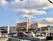 関西スーパー 倉治店（551m）