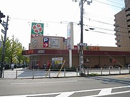 6 / 21
