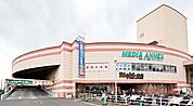 イズミヤショッピングセンター千里丘（1275m）