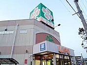 ライフ 江口店（363m）