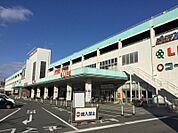 ライフ 菱江店（1047m）