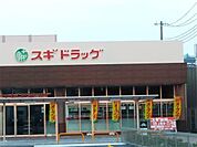 スギドラッグ 安田諸口店（810m）
