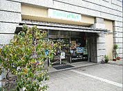 ファミリーマート 南堀江店（262m）