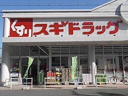 スギドラッグ 波除店（966m）