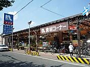 ホームプラザナフコ 南江口店（1205m）