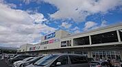 ホームセンターコーナン 堺高須店（1516m）