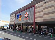 ライフ 石津店（533m）