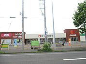 コープさっぽろしがイースト店様迄約1.1ｋｍです。朝9時から夜9時まで営業。駐車場235台完備 1100m
