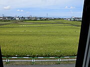 寝室側マドから秋には黄金色の風景＾＾