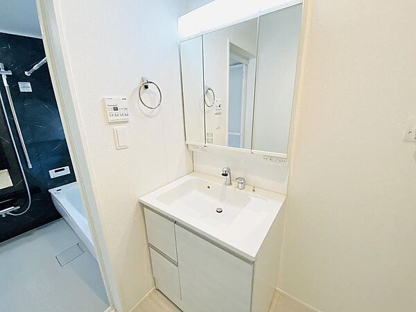 洗面を拡大表示