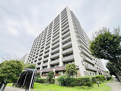 外観 外観