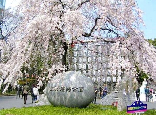 周辺を拡大表示
