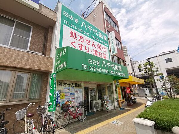 大阪府堺市東区白鷺町1丁(賃貸マンション1LDK・1階・36.40㎡)の写真 その8