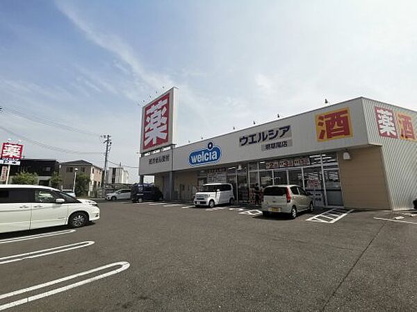 画像23:【ドラッグストア】ウエルシア堺草尾店まで879ｍ