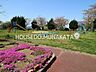 周辺：自由ヶ丘第9号公園自由ヶ丘第9号公園 800m