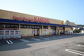 グレースメロウ　E  ｜ 栃木県鹿沼市茂呂（賃貸アパート1LDK・1階・50.87㎡） その19