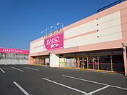 ダイソー 北見夕陽ケ丘店（312m）