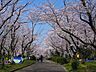 周辺：平和公園■緑いっぱいの自然に囲まれた公園です。お父さんの休日には運動用具をもってキャッチボールしたり、サッカーしたりと幅広い遊びを可能にしてくれます。 1030m