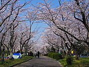 平和公園■緑いっぱいの自然に囲まれた公園です。お父さんの休日には運動用具をもってキャッチボールしたり、サッカーしたりと幅広い遊びを可能にしてくれます。 940m