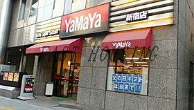 東京都渋谷区本町４丁目（賃貸マンション1K・2階・16.20㎡） その4