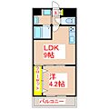 加治屋町MSH9階6.6万円
