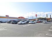 ダイレックス鹿屋店 8694m