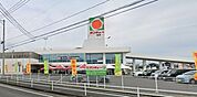 サンキュー和田店 355m