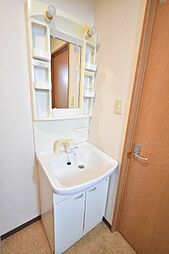 シャンプードレッサー